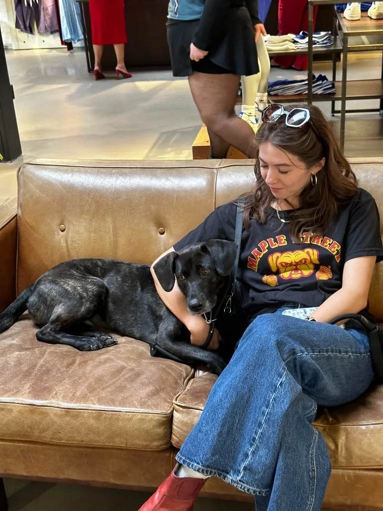 Kona lounging on a leather couch next to Alexandra