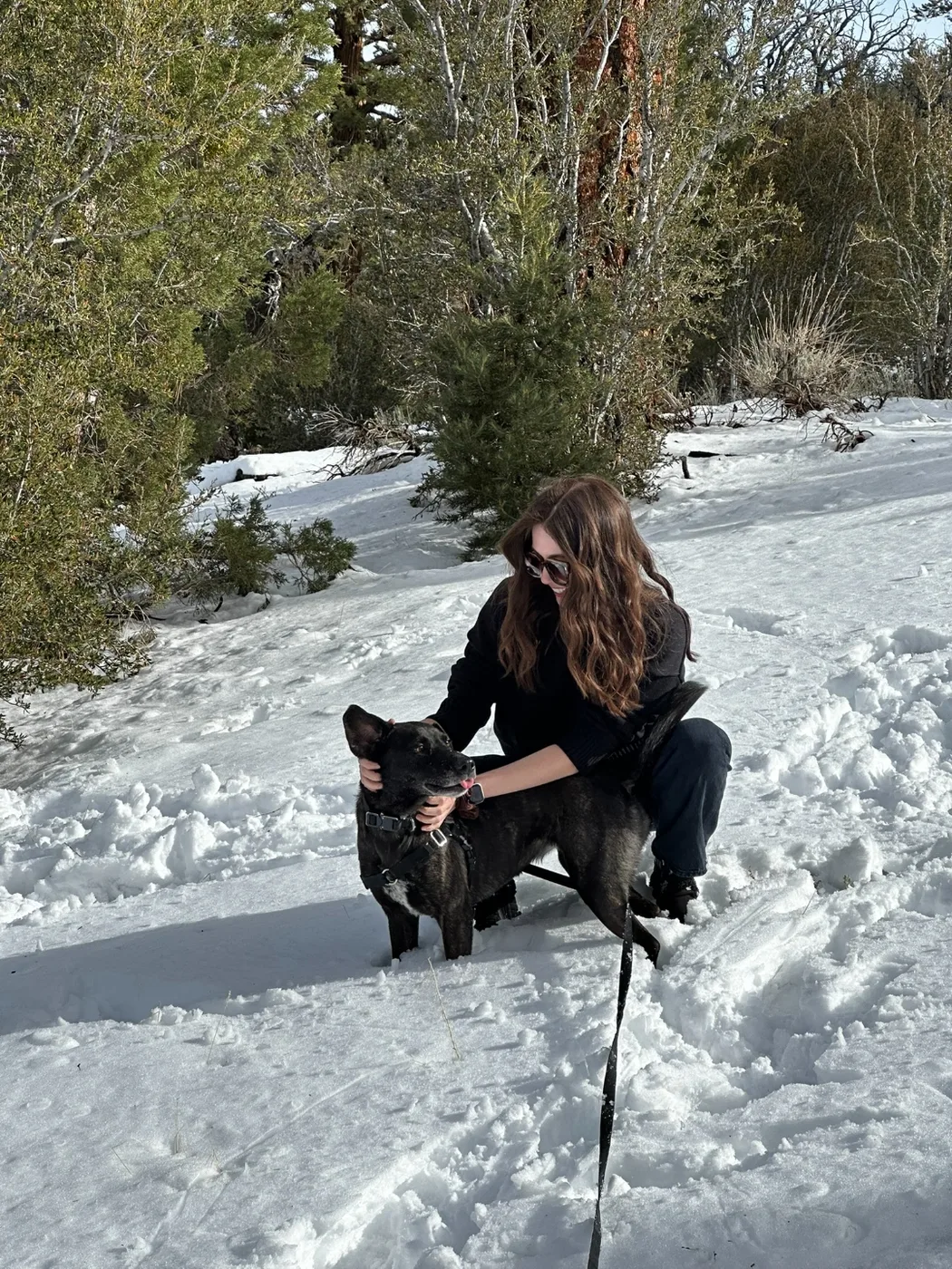 Alexandra and Kona in the snow, surrounded by pine trees